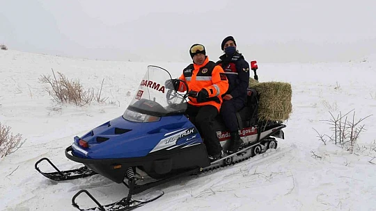 JAK ve HAYDİ ekipleri yaban hayatı için seferber oldu