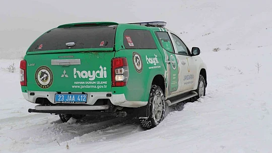 JAK ve HAYDİ ekipleri yaban hayatı için seferber oldu