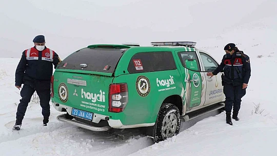 JAK ve HAYDİ ekipleri yaban hayatı için seferber oldu