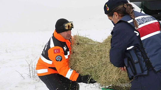JAK ve HAYDİ ekipleri yaban hayatı için seferber oldu