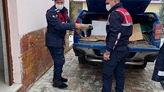 Jandarma ekipleri, anne ve yavru köpeklere sahip çıktı