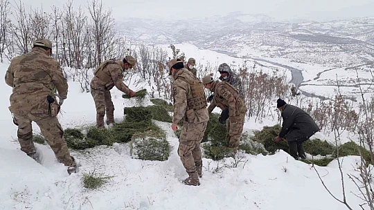 Jandarma ekipleri sokak ve yaban hayvanlarını unutmadı