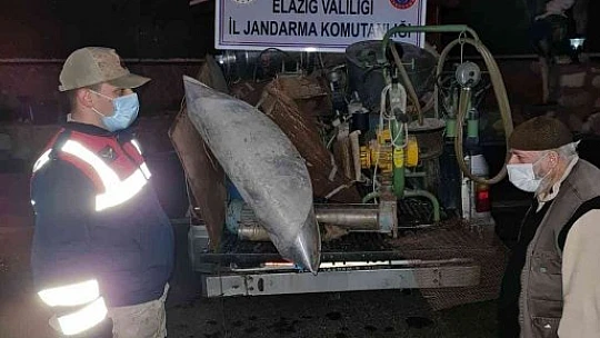 Jandarma hırsızlara göz açtırmıyor: 2 gözaltı