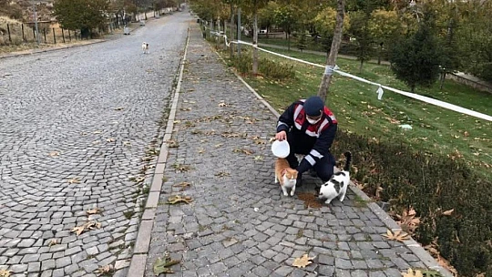 Jandarma, kısıtlama da sessiz dostlarını beslemeyi ihmal etmedi