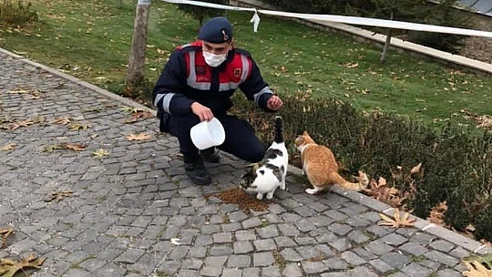 Jandarma, kısıtlama da sessiz dostlarını beslemeyi ihmal etmedi