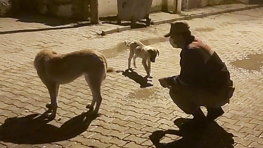 Jandarma, kısıtlama da sessiz dostlarını beslemeyi ihmal etmedi