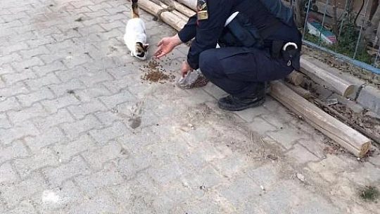 Jandarma, Ramazan ayında da sokak hayvanlarını yalnız bırakmadı
