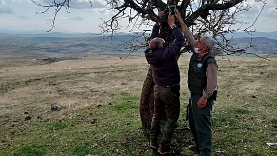 Kaçak ava karşı foto kapanlar kuruldu, kaçak meterisler yıkıldı