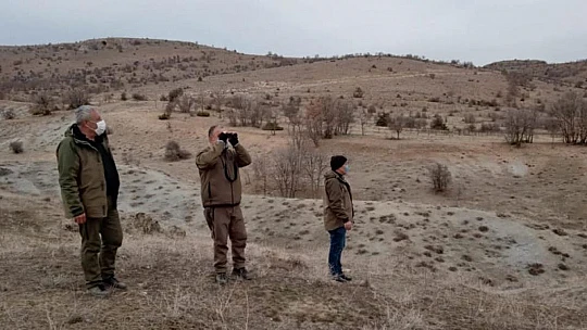 Kaçak ava karşı foto kapanlar kuruldu, kaçak meterisler yıkıldı