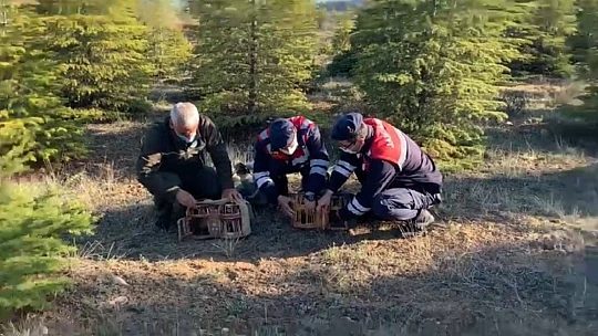 Kaçak avcılar yakalandı 5 bin TL ceza kesildi