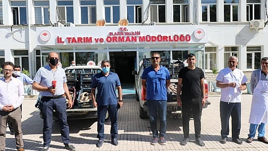 Elazığ'da Bir Ton Kaçak Balık Ele Geçirildi