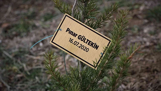 Kadın muhtar cinayete kurban giden kadınların isimlerini ağaçlarda yaşatacak