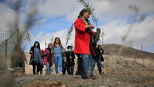Kadın muhtar cinayete kurban giden kadınların isimlerini ağaçlarda yaşatacak