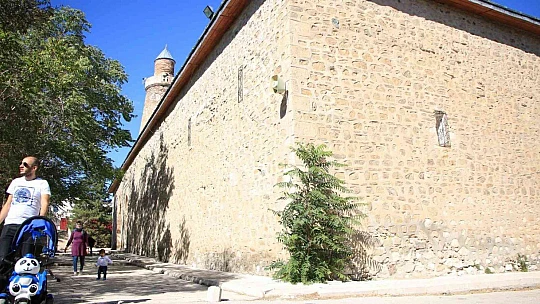 Kadir Gecesi'nde secde ettiği rivayet edilen dut ağacının hikayesi herkesi şaşırtıyor