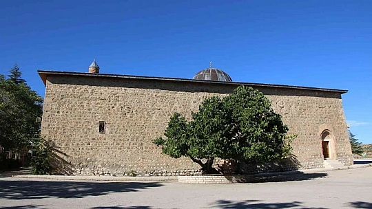 Kadir Gecesi'nde secde ettiği rivayet edilen dut ağacının hikayesi herkesi şaşırtıyor