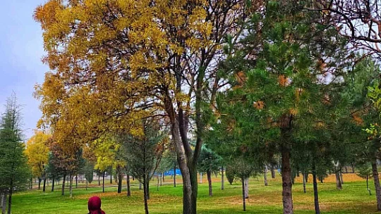 Kampüste sonbahar güzelliği