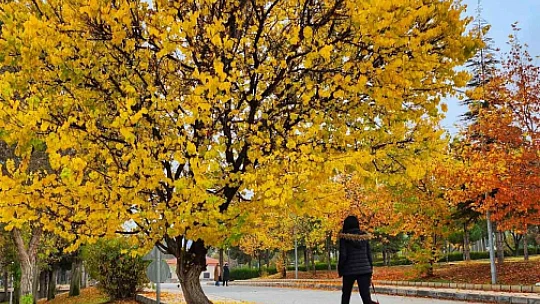 Kampüste sonbahar güzelliği
