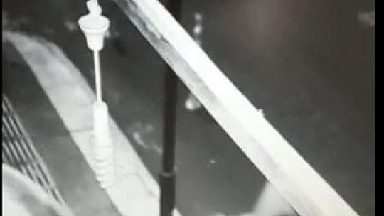 Kasa kasa meyve eksiliyordu, gerçek kamera takılınca ortaya çıktı