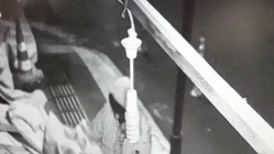 Kasa kasa meyve eksiliyordu, gerçek kamera takılınca ortaya çıktı