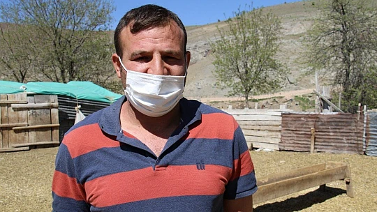 Kayıp kuzu ve koçların sahibi, haber sayesinde bulundu