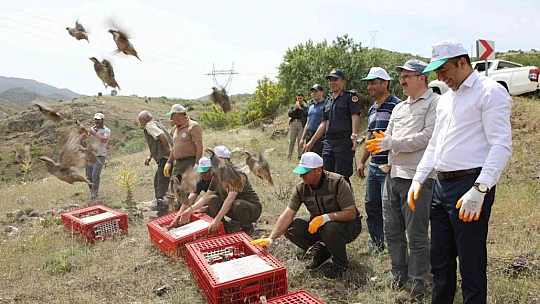 Keban'da 500 keklik doğaya salındı