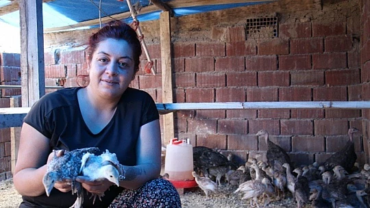 Kendi çiftliğini kurdu, bir yılda 200 bin adet tavuk ve hindi satışı yaptı