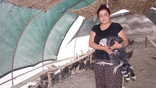 Kendi çiftliğini kurdu, bir yılda 200 bin adet tavuk ve hindi satışı yaptı