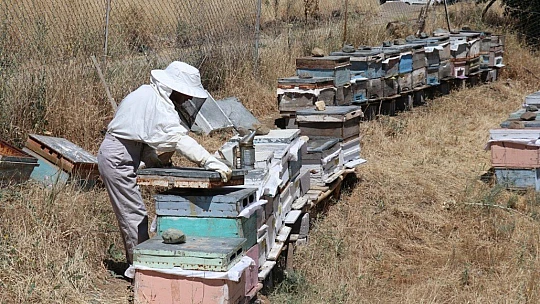 Ürettiği balı hayır olarak dağıtıyor