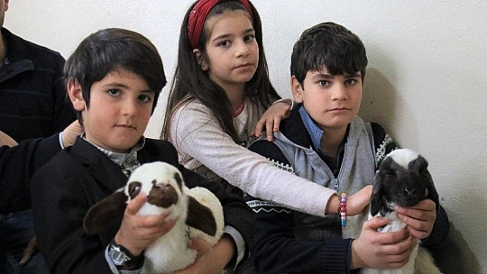 Kış günü doğan kuzulara soba kenarında bakılıyor, bebek gibi özen gösteriliyor