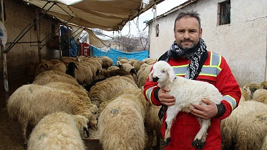 Kış günü doğan kuzulara soba kenarında bakılıyor, bebek gibi özen gösteriliyor