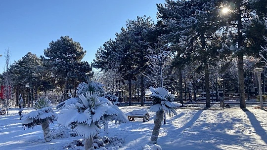 Kısıtlamayla sessizliğe bürünen Elazığ güne karla uyandı