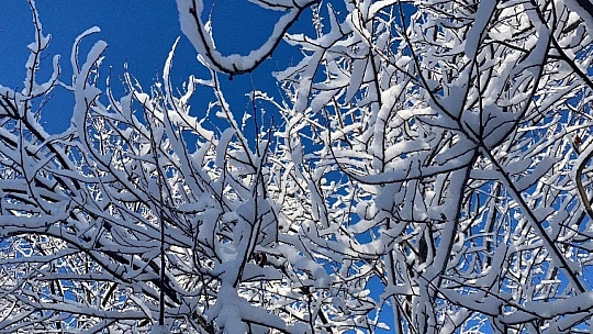 Kısıtlamayla sessizliğe bürünen Elazığ güne karla uyandı