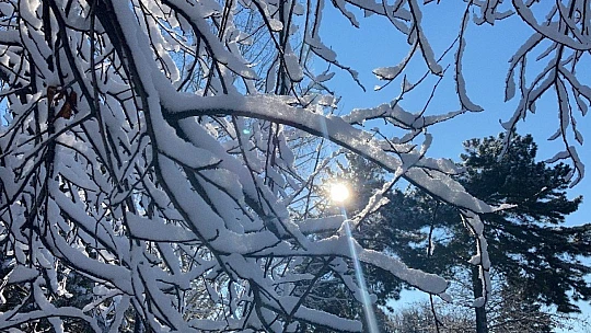 Kısıtlamayla sessizliğe bürünen Elazığ güne karla uyandı
