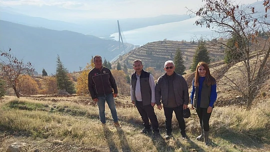 Kömürhan Köprüsünün iki yakasına 55 bin adet fidan dikilecek