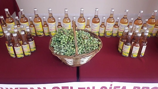 Kadın Çiftçiler, Koruk Suyu Üretimine Başladı