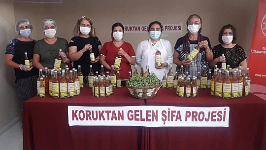 Kadın Çiftçiler, Koruk Suyu Üretimine Başladı