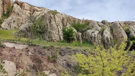Koruma altındaki dağ keçileri Harput'ta görüntülendi