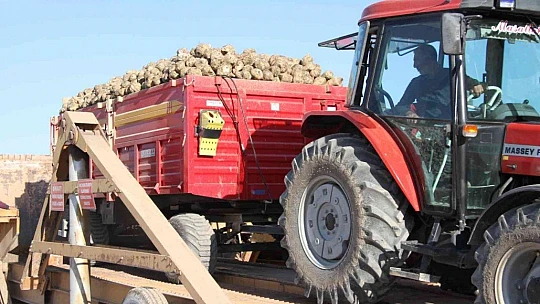 Kuraklık şeker pancarını da vurdu, üretim yüzde 8 azaldı