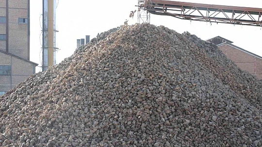 Kuraklık şeker pancarını da vurdu, üretim yüzde 8 azaldı