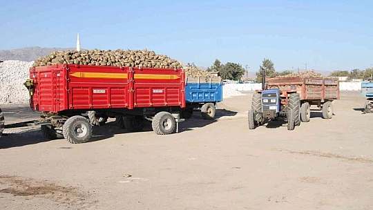 Kuraklık şeker pancarını da vurdu, üretim yüzde 8 azaldı