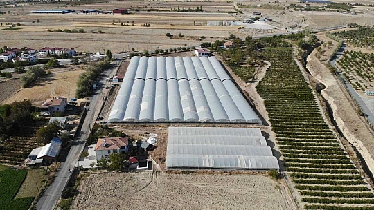 Kuraklık seracıları da vurdu, rekoltede yüzde 40 kayıp var