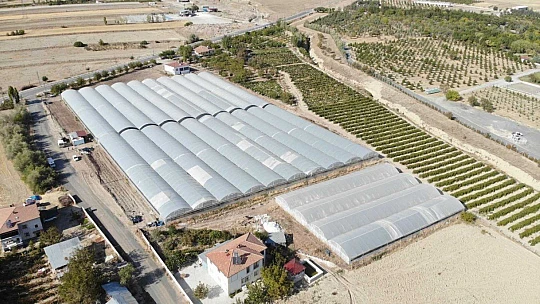 Kuraklık seracıları da vurdu, rekoltede yüzde 40 kayıp var