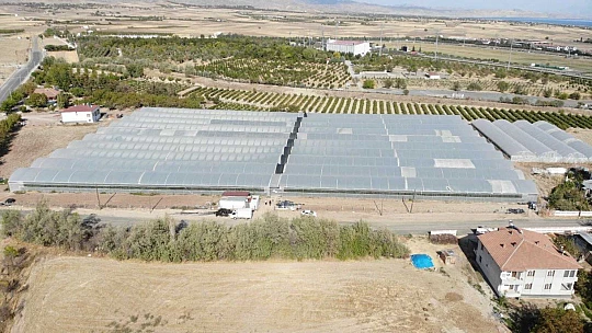 Kuraklık seracıları da vurdu, rekoltede yüzde 40 kayıp var