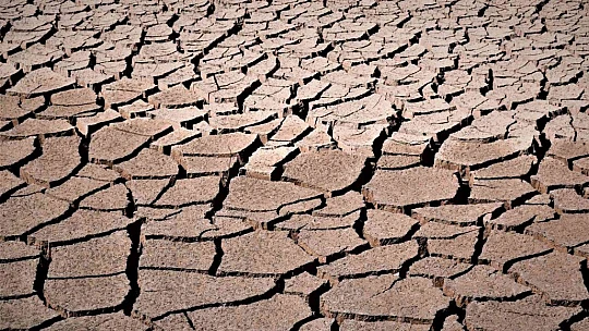 Kuraklık vurdu, baraj çöle döndü