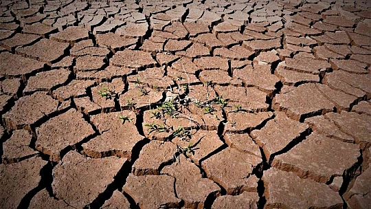 Kuraklık vurdu, baraj çöle döndü