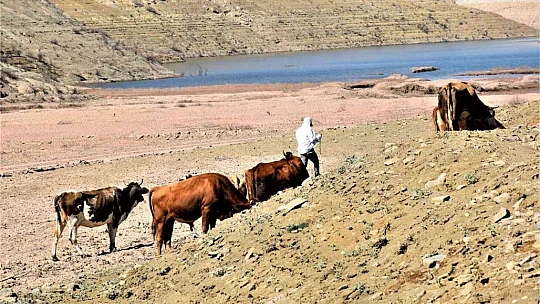 Kuraklık vurdu, baraj çöle döndü