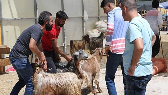 Kurban Pazarında 3'üncü gün yoğunluğu
