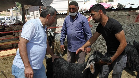 Kurban Pazarında 3'üncü gün yoğunluğu