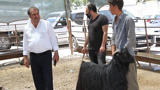 Kurban Pazarında 3'üncü gün yoğunluğu