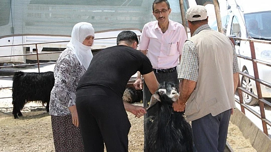 Kurban Pazarında 3'üncü gün yoğunluğu